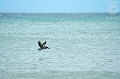 Isla de Margarita (48)